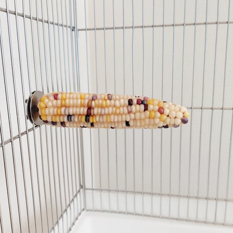 2025年小鳥インコ用 止まり木 カラフルコーンパーチ Lサイズ バードトイ 鳥おもちゃ 2L018