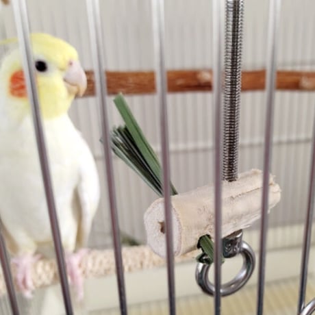レモングラス葉 20g