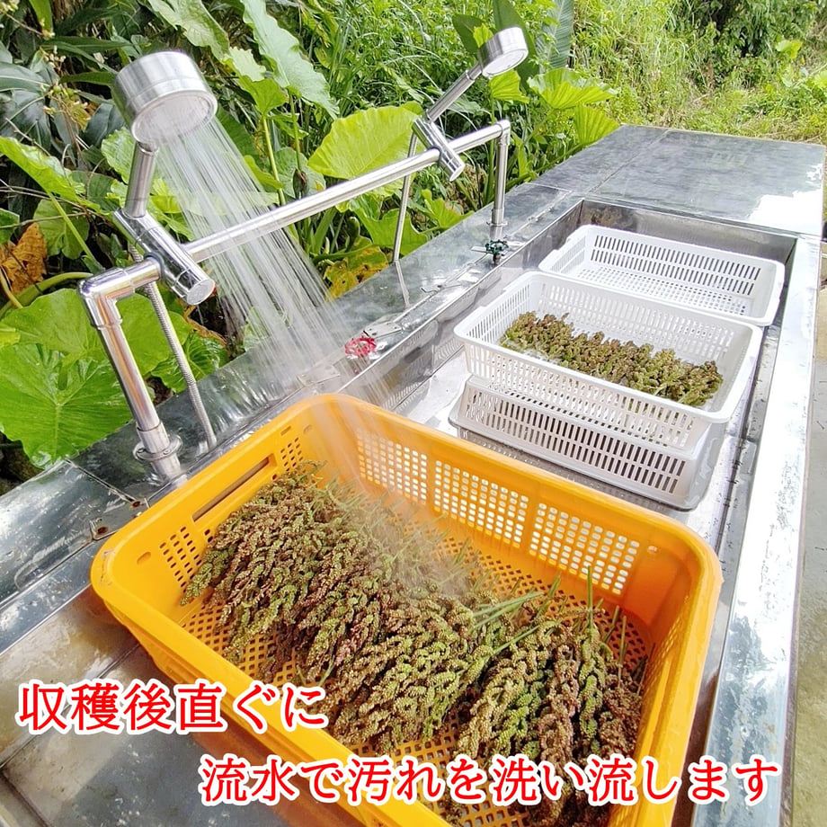 61f4f6cec15c5a6a5f465a1c