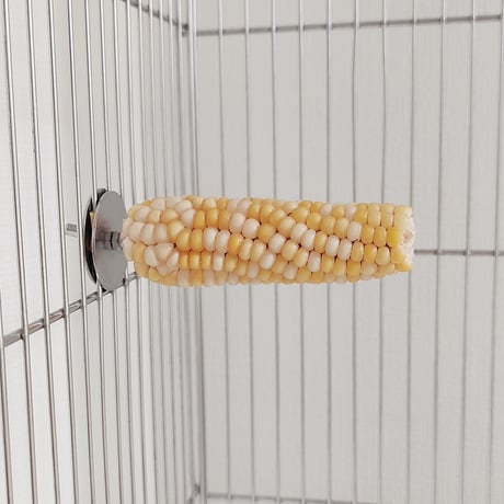 小鳥インコ用 止まり木 カラフルコーンパーチ Mサイズ バードトイ 鳥おもちゃ M029