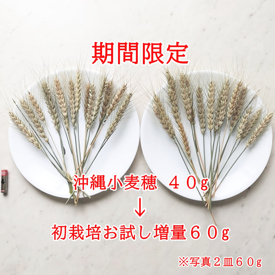 69cd02281d03e918bef3e8cc