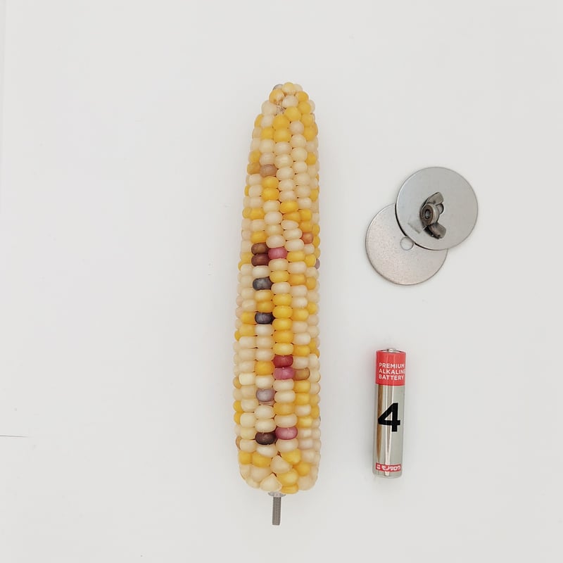 2025年小鳥インコ用 止まり木 カラフルコーンパーチ Lサイズ