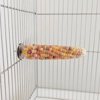 2025年小鳥インコ用 止まり木 カラフルコーンパーチ Lサイズ バードトイ 鳥おもちゃ L015