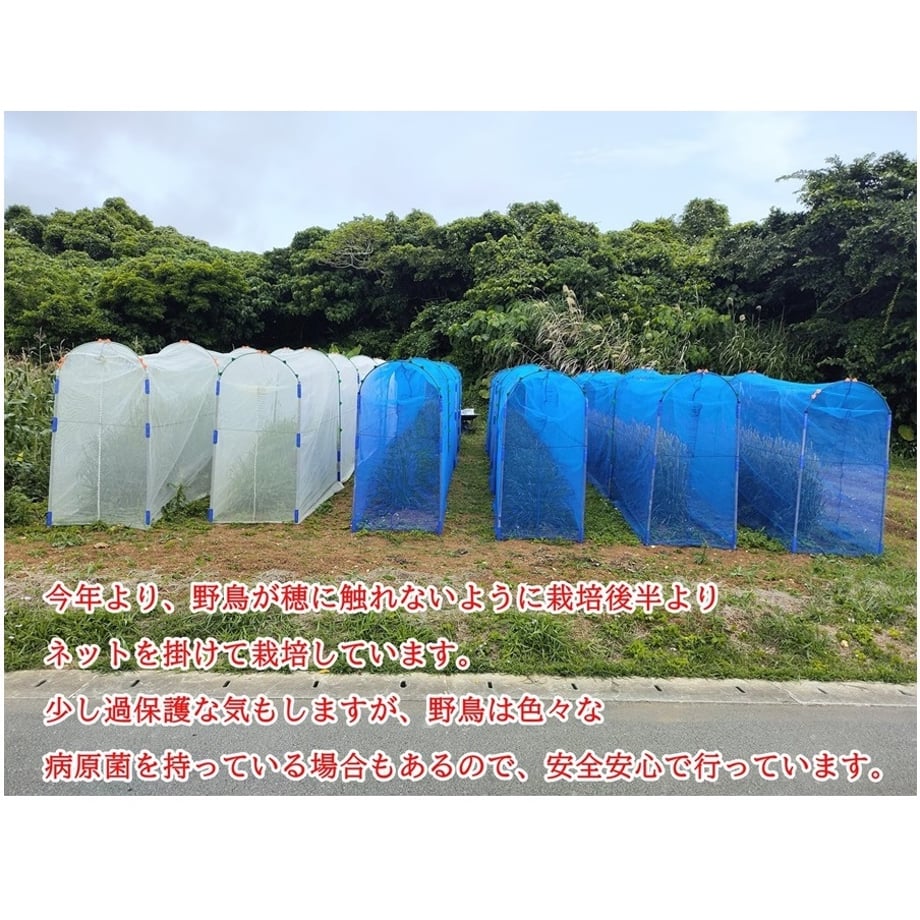 61f4f6cec15c5a6a5f465a1c