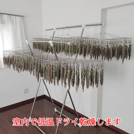 2025年 ヒエの穂40g