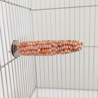 2025年小鳥インコ用 止まり木 カラフルコーンパーチ Lサイズ バードトイ 鳥おもちゃ L012