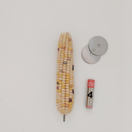 小鳥インコ用 止まり木 カラフルコーンパーチ Lサイズ バードトイ 鳥おもちゃ L027