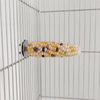 小鳥インコ用 止まり木 カラフルコーンパーチ Mサイズ バードトイ 鳥おもちゃ M039