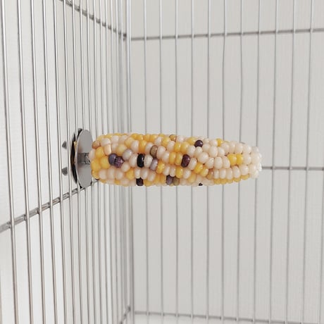 小鳥インコ用 止まり木 カラフルコーンパーチ Mサイズ バードトイ 鳥おもちゃ M039