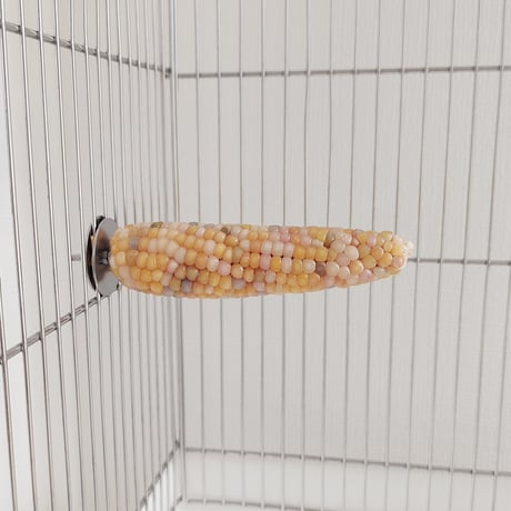 小鳥インコ用 止まり木 カラフルコーンパーチ Lサイズ バードトイ 鳥おもちゃ L023