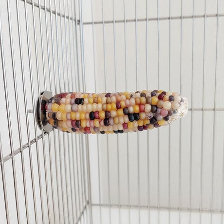 小鳥インコ用 止まり木 カラフルコーンパーチ Mサイズ バードトイ 鳥おもちゃ M011