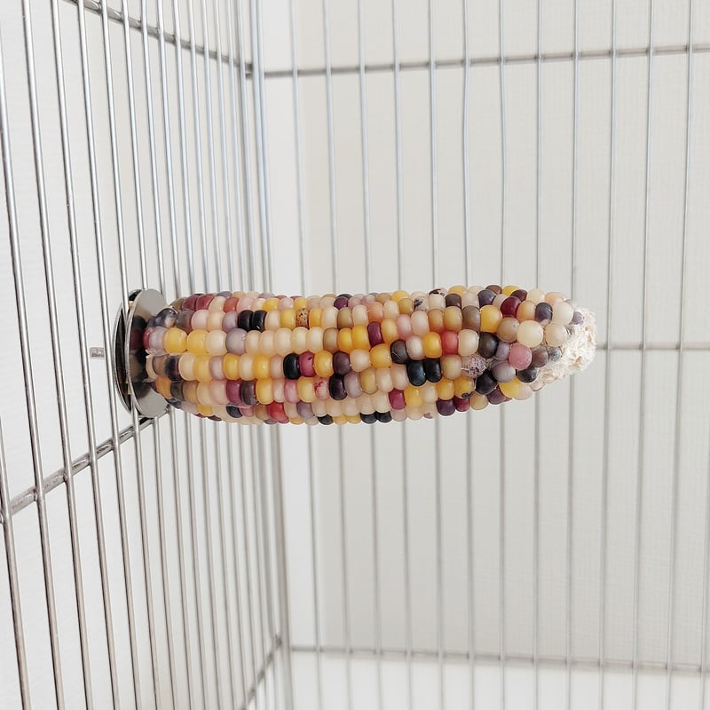 CATEGORY Mサイズ | バード ハート okinawa