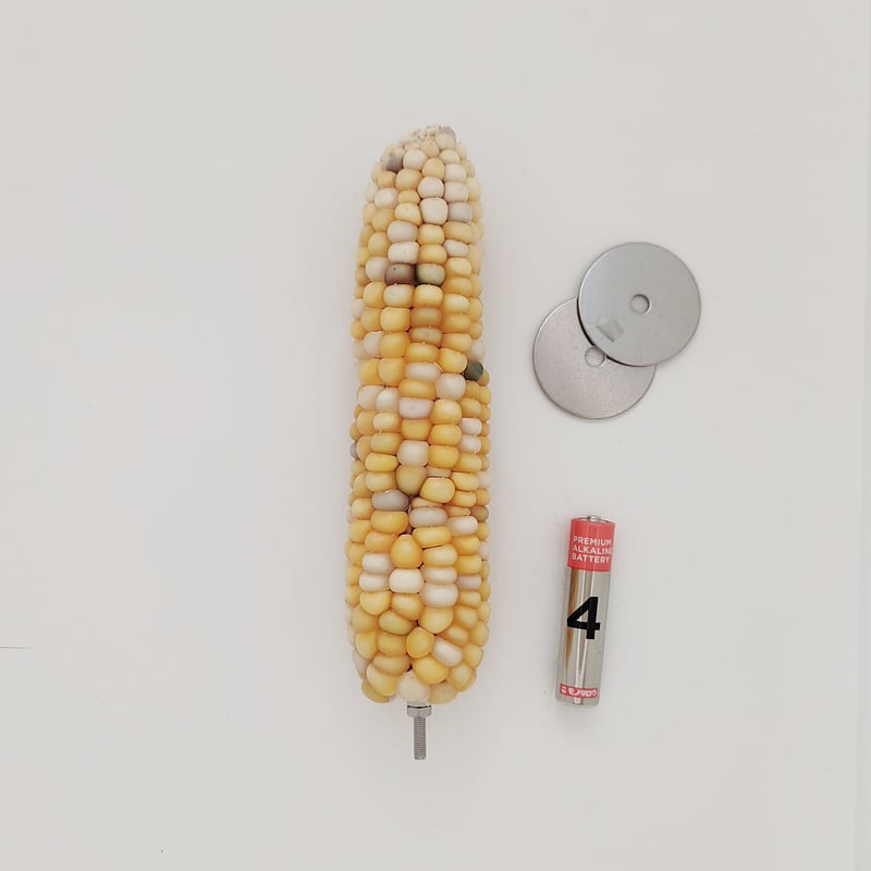 2025年小鳥インコ用 止まり木 カラフルコーンパーチ 2Lサイズ