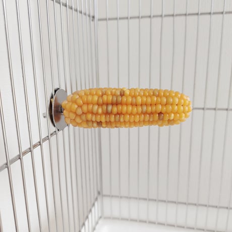 小鳥インコ用 止まり木 カラフルコーンパーチ Mサイズ バードトイ 鳥おもちゃ M021
