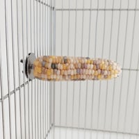 小鳥インコ用 止まり木 カラフルコーンパーチ Mサイズ バードトイ 鳥おもちゃ M003