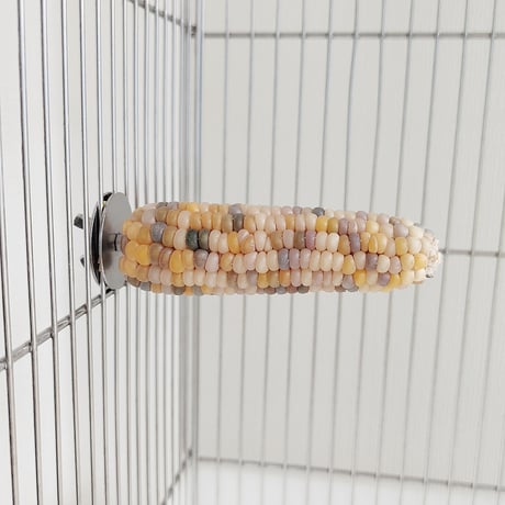 小鳥インコ用 止まり木 カラフルコーンパーチ Mサイズ バードトイ 鳥おもちゃ M003