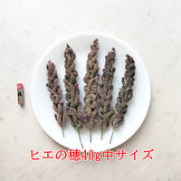 2025年 ヒエの穂40g