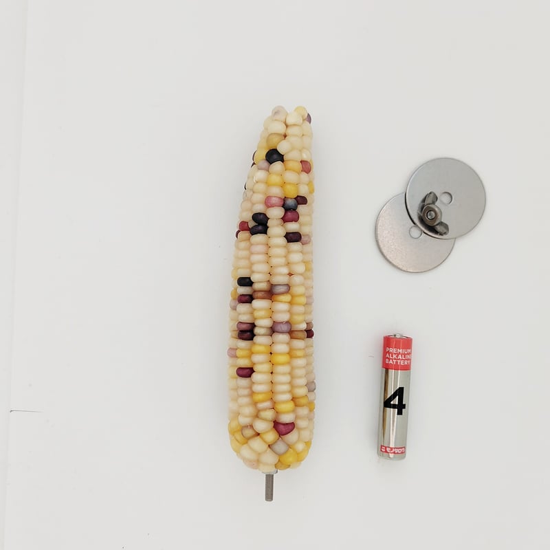 2025年小鳥インコ用 止まり木 カラフルコーンパーチ Lサイズ