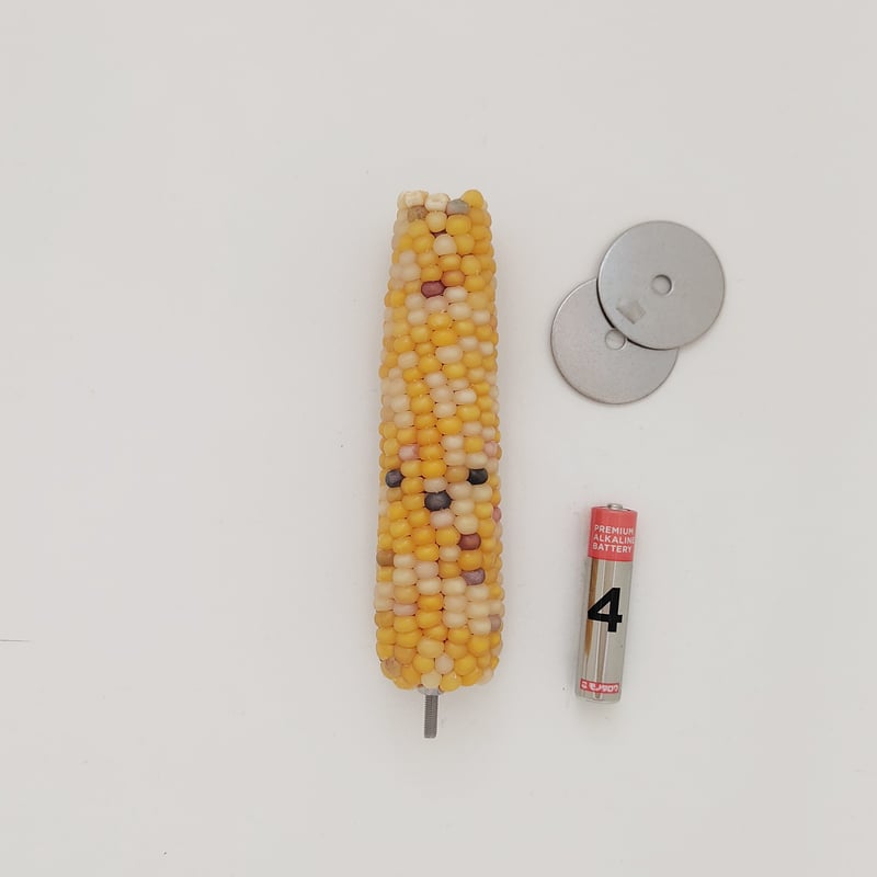 2025年小鳥インコ用 止まり木 カラフルコーンパーチ Lサイズ