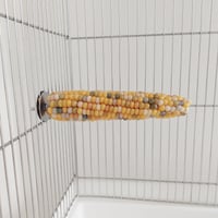小鳥インコ用 止まり木 カラフルコーンパーチ 2Lサイズ バードトイ 鳥おもちゃ 2L041