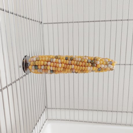 小鳥インコ用 止まり木 カラフルコーンパーチ 2Lサイズ バードトイ 鳥おもちゃ 2L041