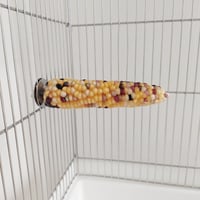小鳥インコ用 止まり木 カラフルコーンパーチ 2Lサイズ バードトイ 鳥おもちゃ 2L027