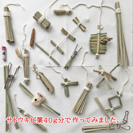 サトウキビ葉 40g