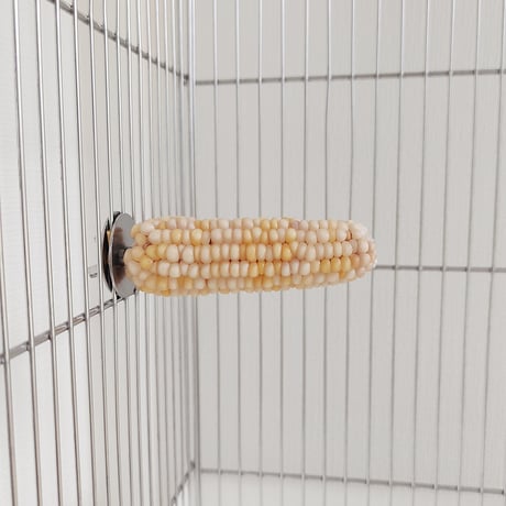 小鳥インコ用 止まり木 カラフルコーンパーチ Mサイズ バードトイ 鳥おもちゃ M033