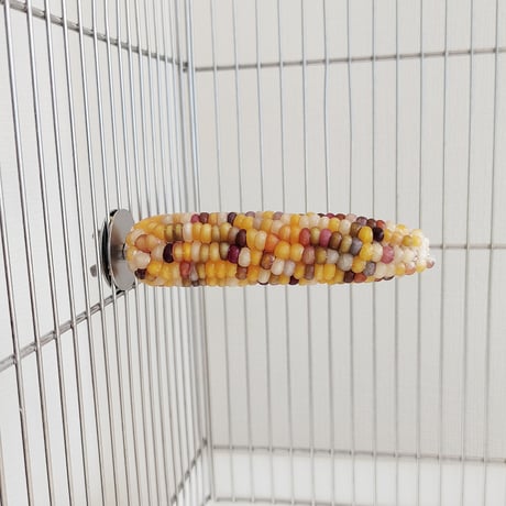 小鳥インコ用 止まり木 カラフルコーンパーチ Mサイズ バードトイ 鳥おもちゃ M006