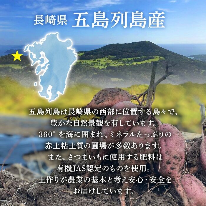 プレゼント 無農薬 さつまいも フィナンシェ 36個入り 焼き菓子 ケーキ