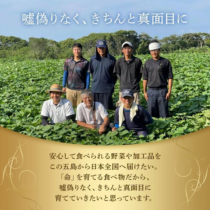 プレゼント 無農薬 さつまいも フィナンシェ 36個入り 焼き菓子 ケーキ