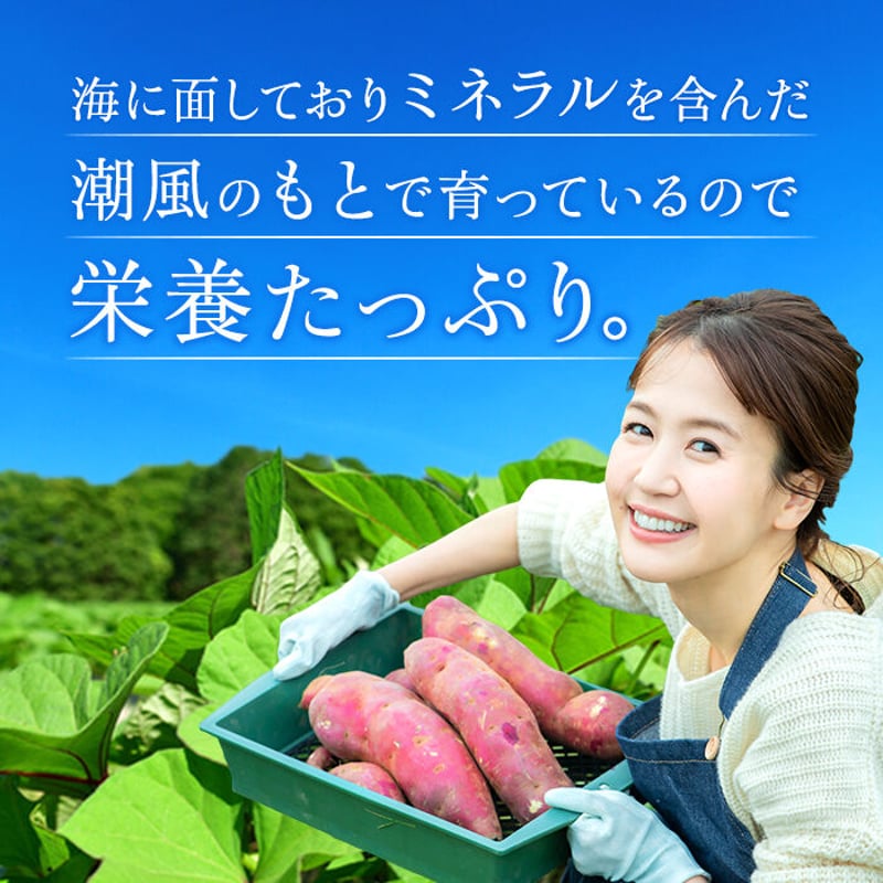 干し芋 1kg 国産 無添加 送料無料 柔らかい 贈答用 甘い 茨城 紅