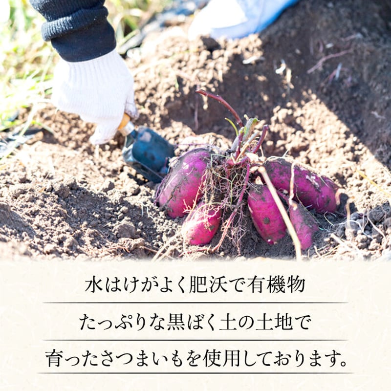 いずみ 干し芋 400g ギフト プレゼント 国産 無添加 茨城県産