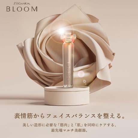 エレクトロポレーション | STORES