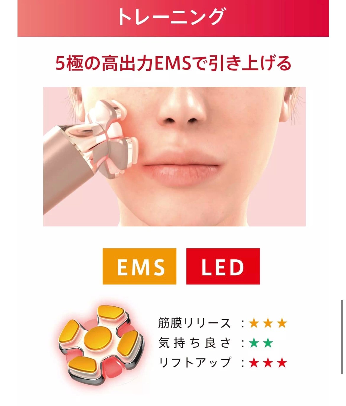 ゾーガンキンブルーム | Beauties麻布 STORE