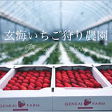 玄海いちご狩り農園