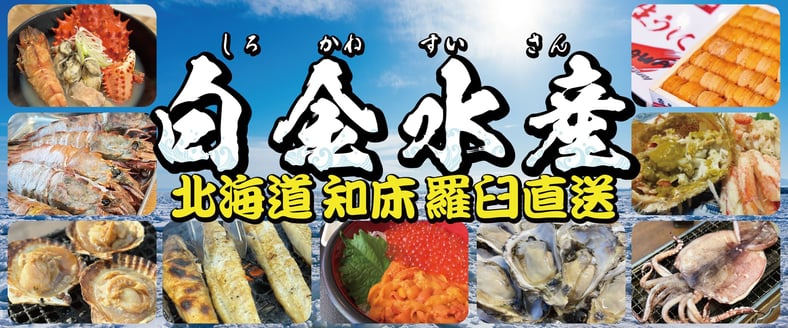 ⑩北海道産 国産砂金 国産自然金Hikaru Mochiduki専用 ⑩北海道産 国産