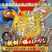 【1口 1万円】応援プロジェクト‼️