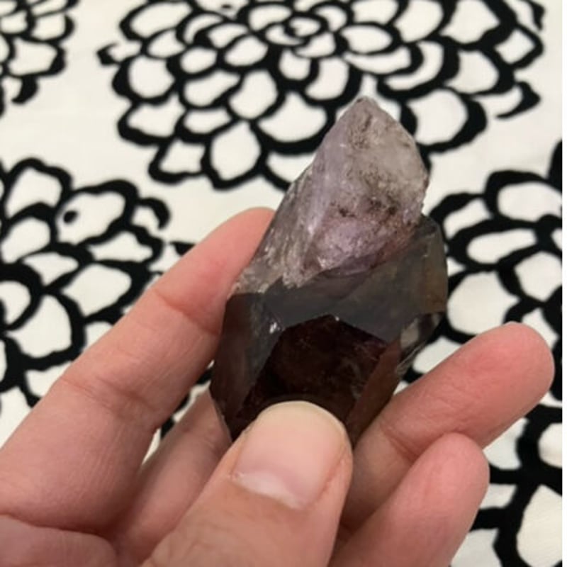 スーパーセブン 水入り セプター 【公式通販】