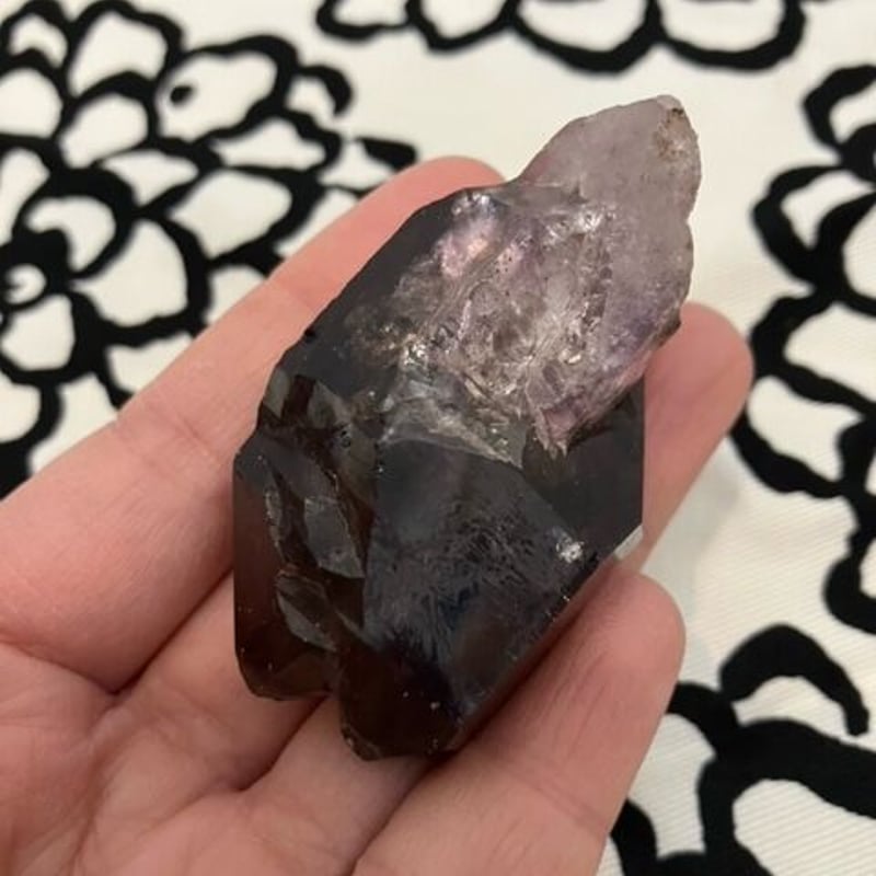 スーパーセブン　水入り　セプター スーパーセブン水入りセプター