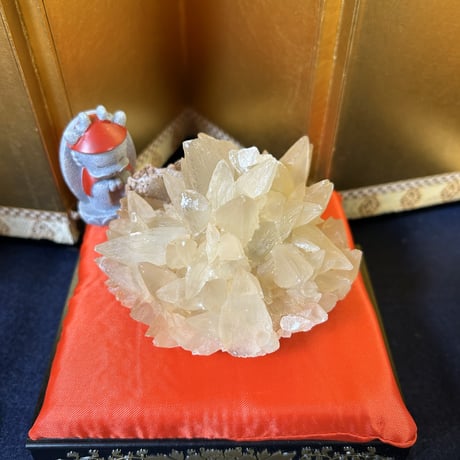 パキスタン産 | STORES