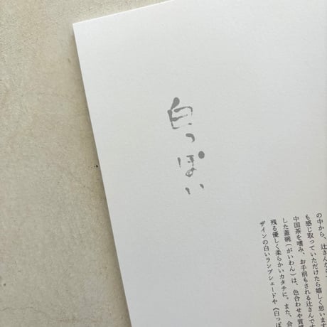 exhibition vol.9 辻和美＋factory zoomer《白っぽい》