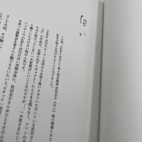 岩田圭介《白い》展 冊子『 exhibition.vol.4 白い』