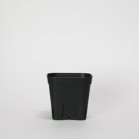 プレステラ 90 10個セット
