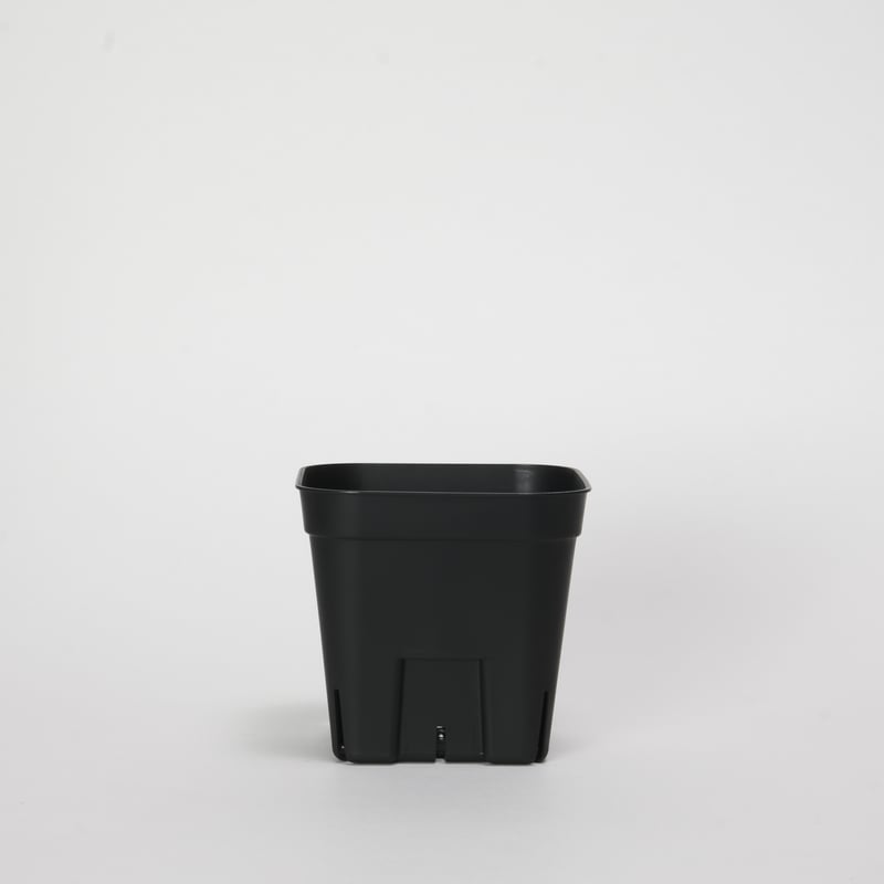 プレステラ 90 10個セット | Maceta