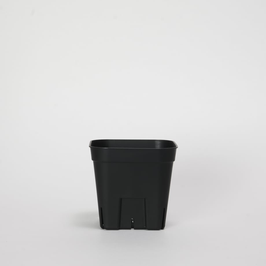 6644ae6553ee8d05ba61888b