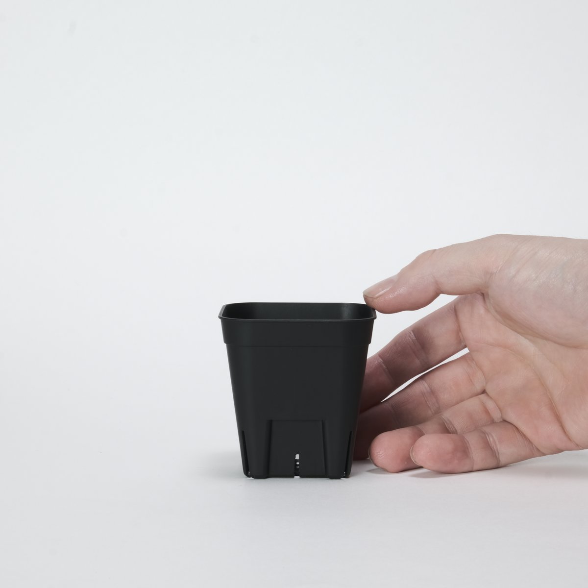 プレステラ 75 10個セット | Maceta