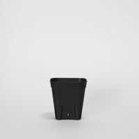 プレステラ 75 10個セット
