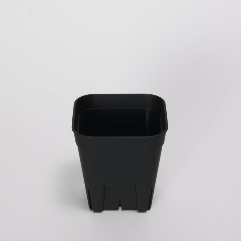 ２株セット チタノタ 「鰐亀」プレステラ75ごと発送 楽天市場】プレステラ90深型用専用トレー 3枚セット 【 NPシステム