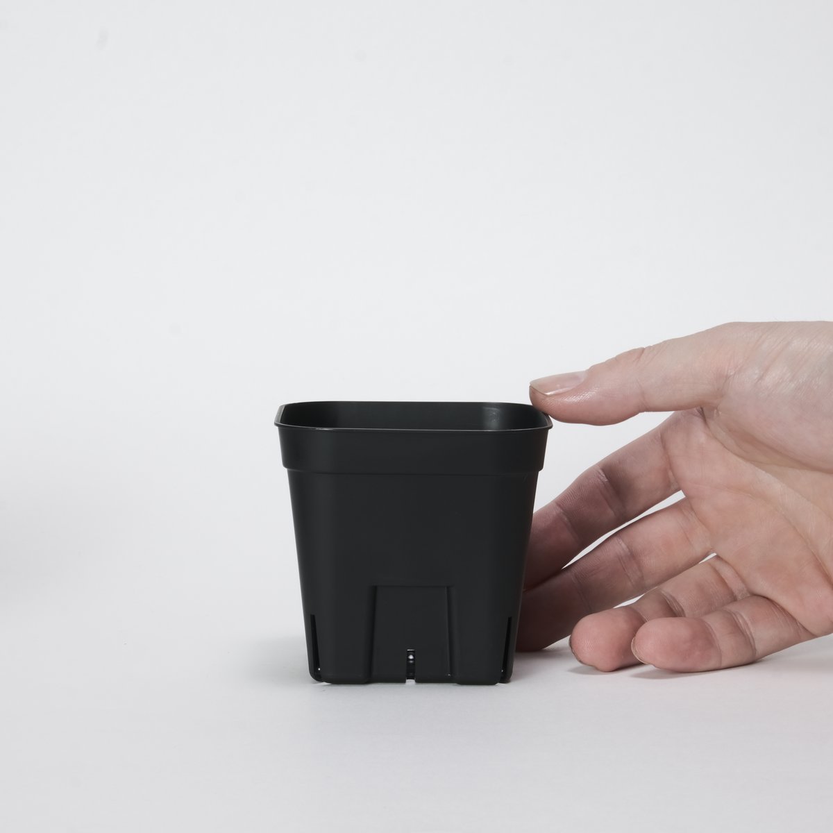 プレステラ 90 10個セット | Maceta